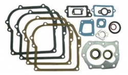 Gasket set with seals, fits 4hp vertical, 16pcs